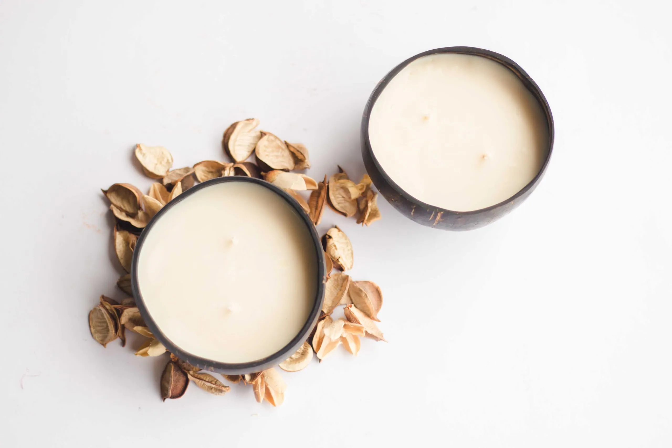 Light Jewels Coconut Shell Candle | Naturally Scented Candles | Eco Friendly Pure Natural Coconut Candle (Caribbean Escape) | Set of 2